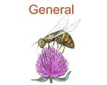 General