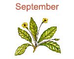 September